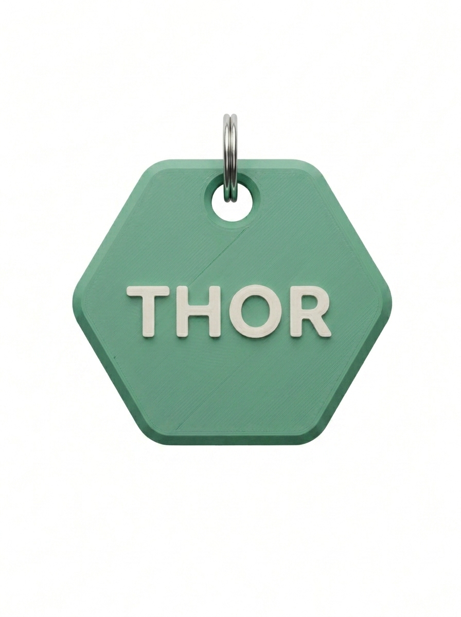 Modelo Hexagonal da PET TAG KM com nome Thor
